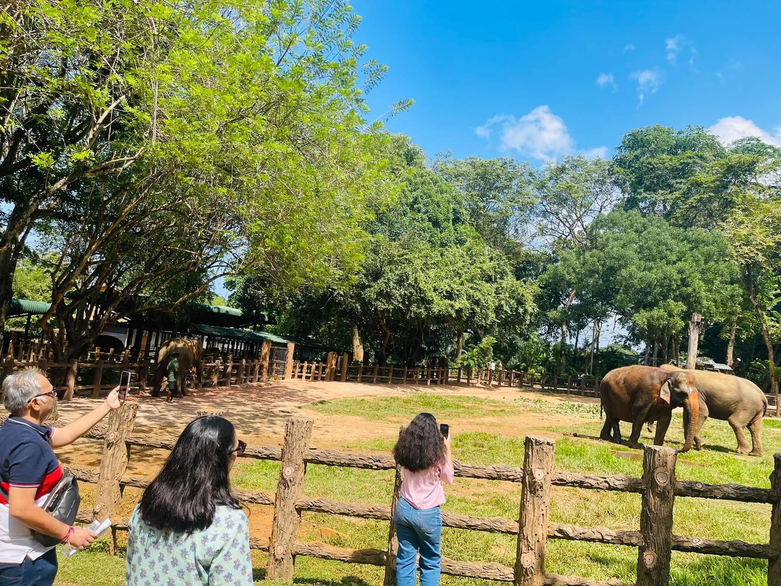 Sri Lanka with Kids — A Family Traveler's Guide