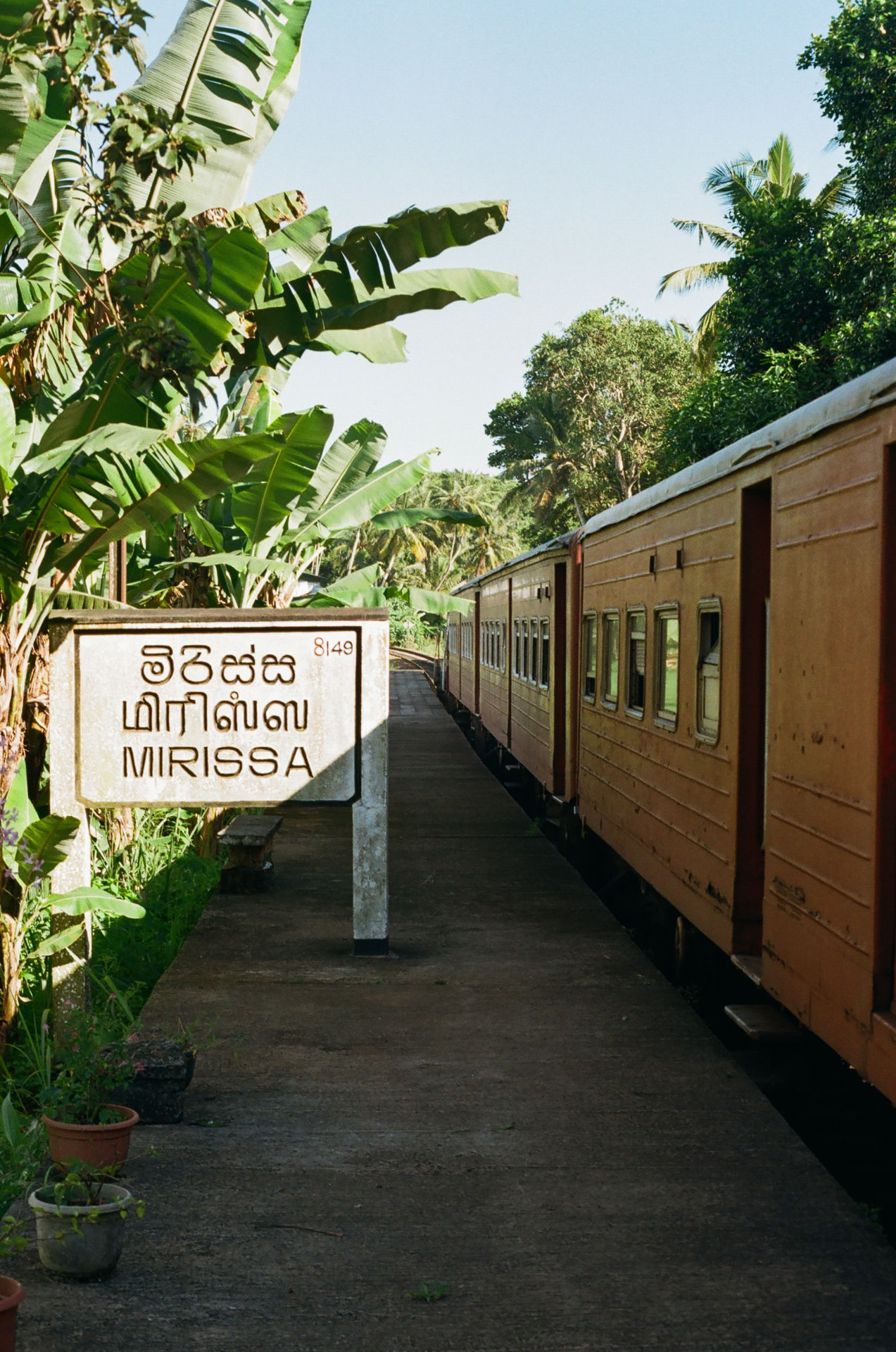Riding the Highland Train — What You Should Know