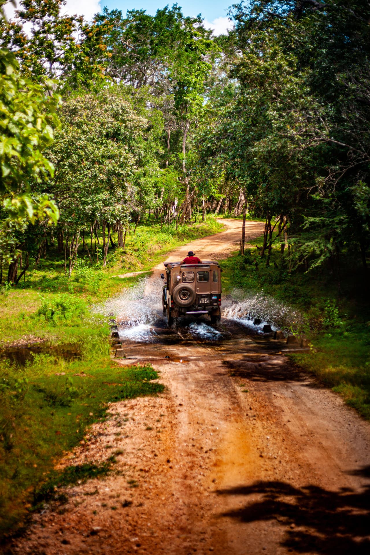 Wildlife Safari Tour